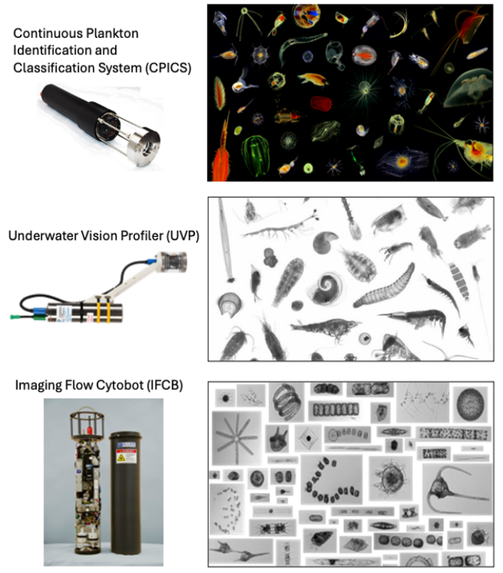 Beispiele pelagischer Imaging Systeme und ihre jeweiligen Aufnahmen. Bild: Klas Ove Möller Aqqua project imaging systems