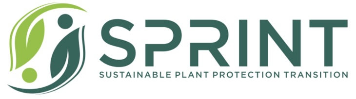 Sprint Logo