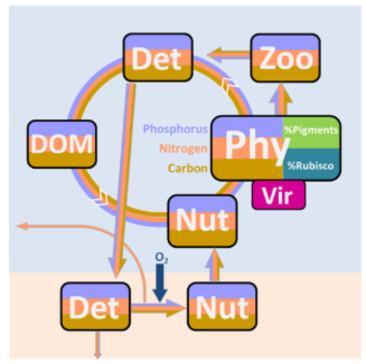 Maecs Structure