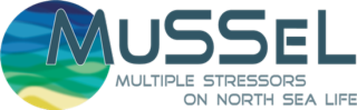 Mussel_Logo