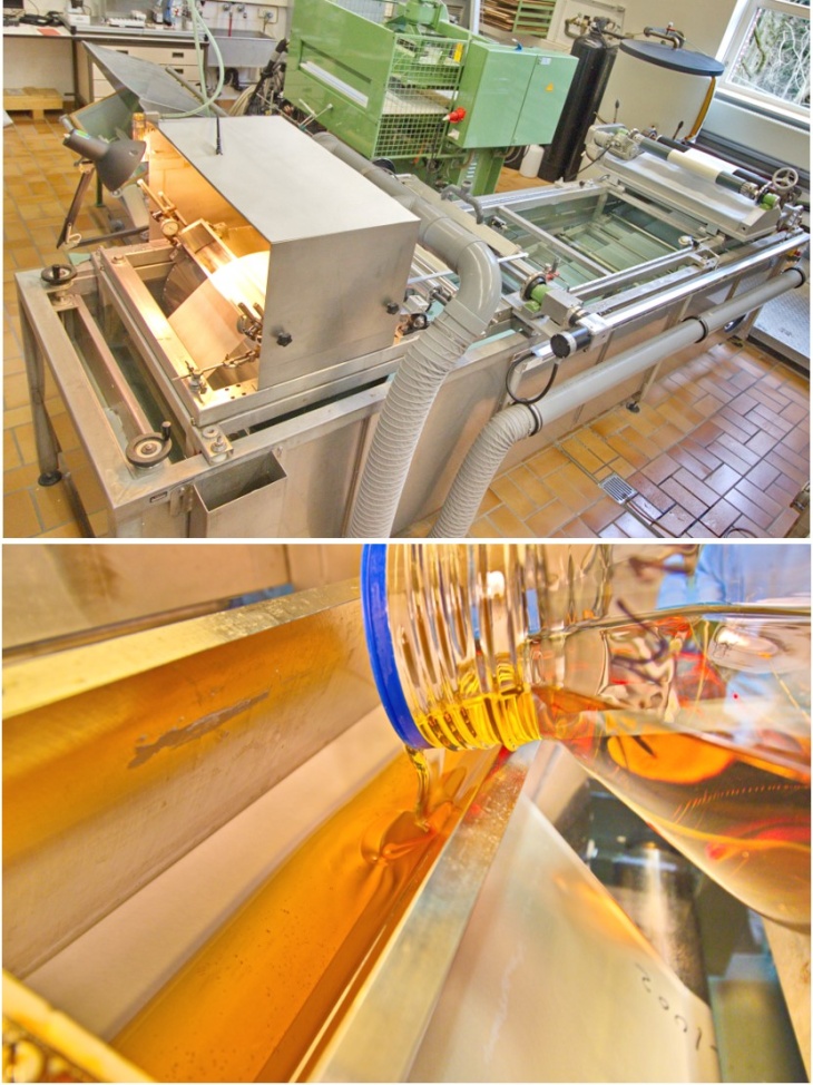 Pilot scale membrane casting facility