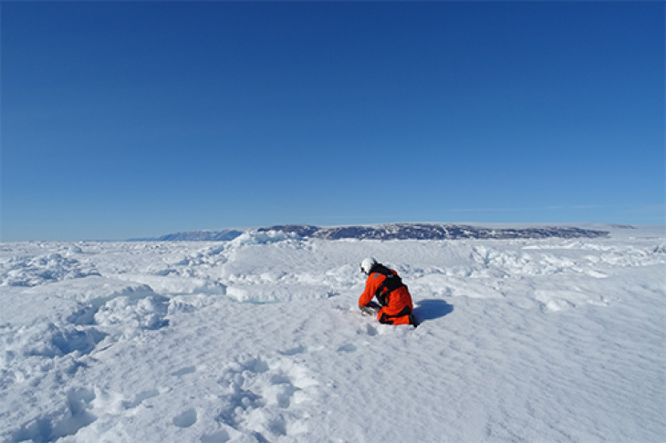 Polar Setcard Hereon Hanna-joerss