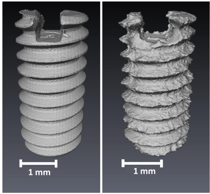 On the left, the screw can be seen before the degradation test. On the right, the same screw after 56 days in vitro without degradation products. The degradation due to corrosion can be clearly seen here. The surface has changed. Photo: Krüger et. al 2021 Compared screws