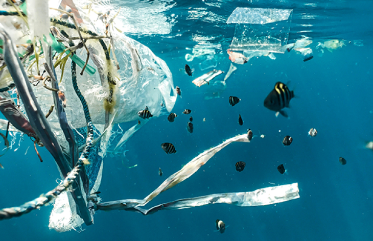 P-leach-mikroplastik-setcard-1