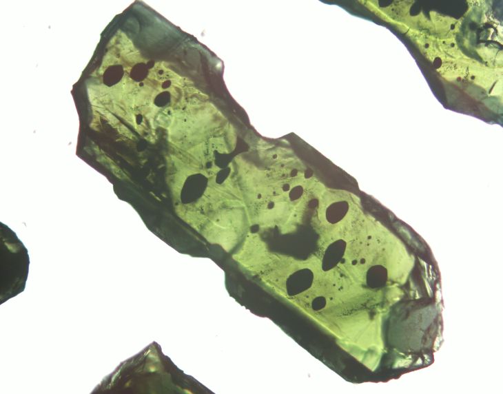 Photomicrograph of a clinopyroxene crystal. This mineral formed in a magma chamber. Melt Inclusions (in black) are present in these crystals. Image: Corin Jorgenson
