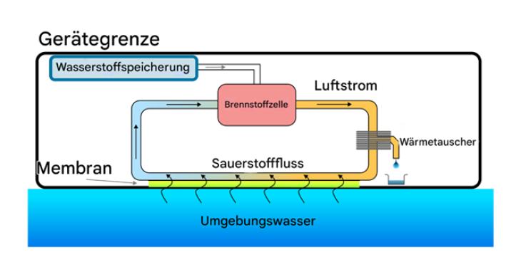 Schematic representation of the power supply system: The fuel cell and the circulating air flow are located in a pressurized container. The membrane, the artificial gill, is located at the interface between the device and the water and allows oxygen to pass through, which enters the circulating air flow and is consumed by the fuel cell. The hydrogen is fed to the fuel cell from a metal hydride container. A passive heat exchanger dries the gas flow sufficiently to prevent condensation of the generated water vapor. Source: Hereon/Lucas Merckelbach/Prokopios Georgopanos