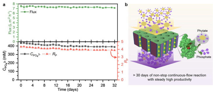 The new process significantly increases the efficiency of the membranes. Graphic: Hereon/ Zhenzhen Zhang Graphic of membranes