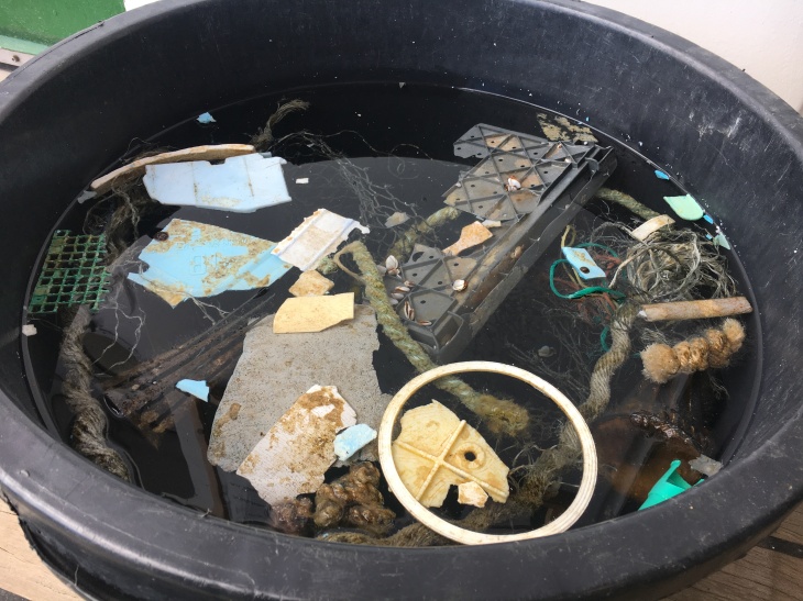 Collection bin with plastic trash