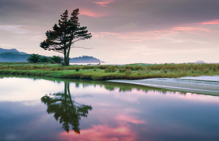 Modeling mercury in water and the atmosphere is a complicated task. Photo: Jim Witkowski via Unsplash Nature-Photo: Jim Witkowski via Unsplash