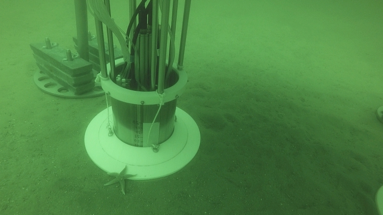 Ship campaigns
