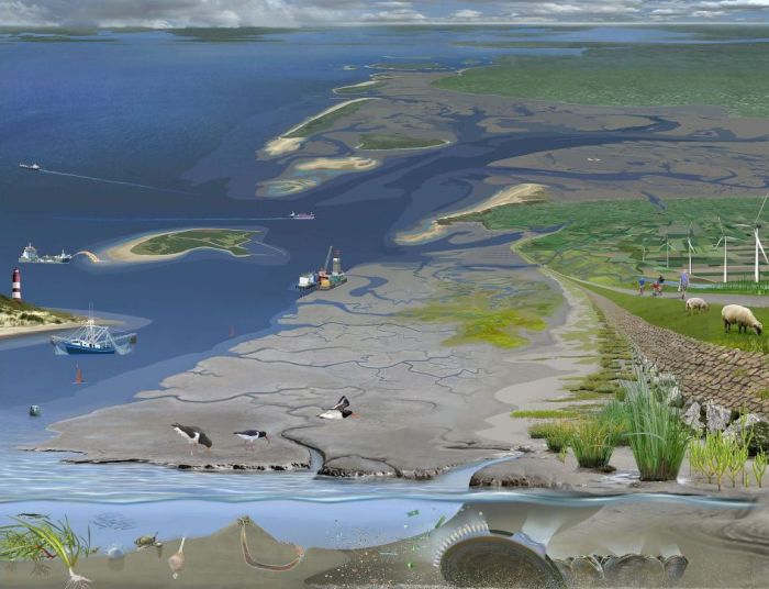 Schematic of the Wadden Sea