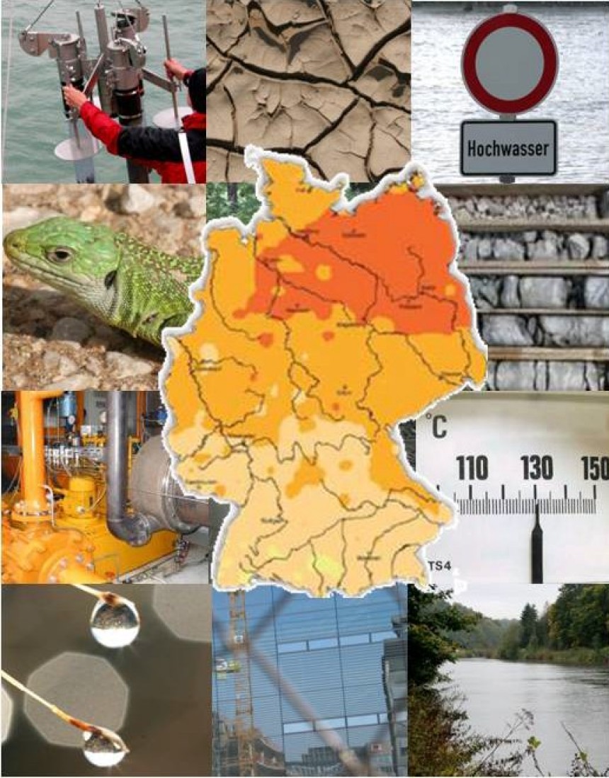 Klimawandel und Biodiversität Collage