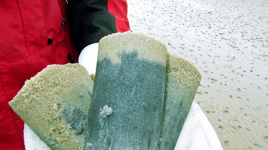 Sedimentproben aus der Nordsee.