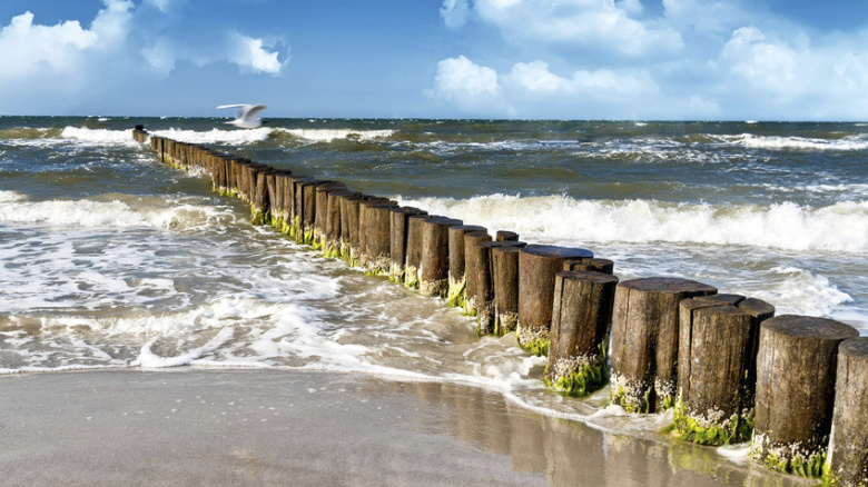 A view from the beach to the sea. Wooden piles serve as breakwaters