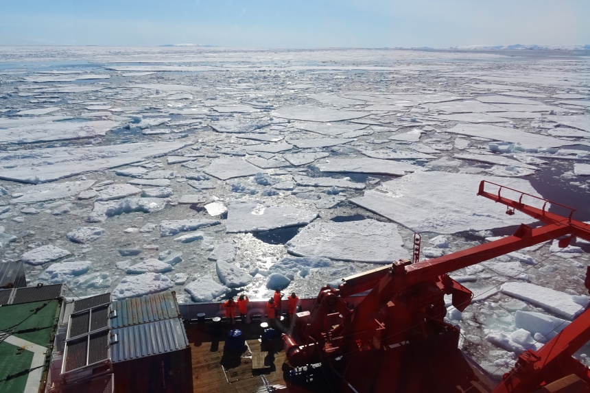Ice floes floating on the sea
