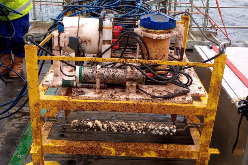 A dirty yellow steel frame with sensors partly covered with mussels.