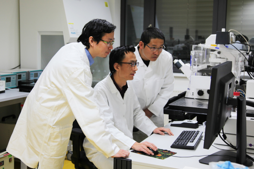 Xun Xu, Zijun Deng and Weiwei Wang (all HZG) are the first authors of the study.