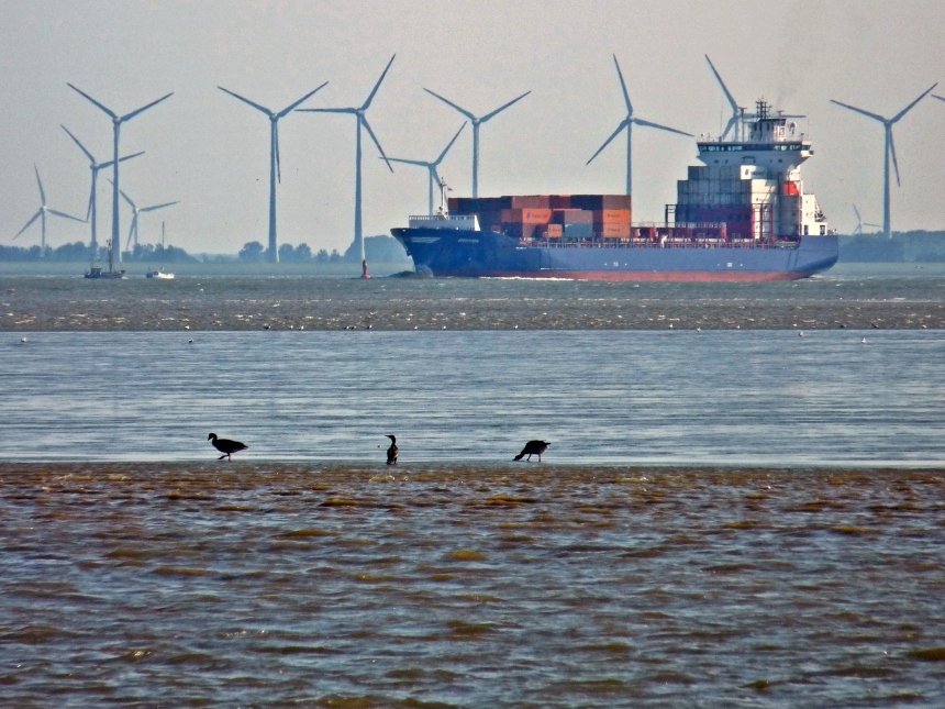 Windräder, Containerschiff, Elbe und Vögel