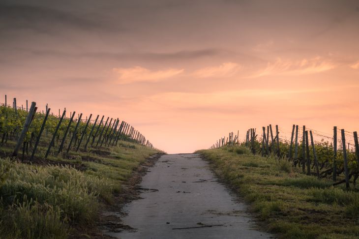 Photo work and family life - Life Situations – Coaching