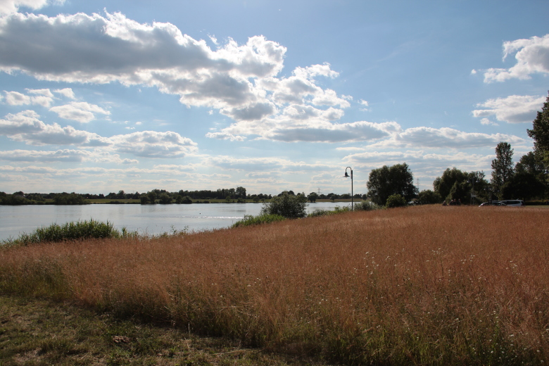Elbe-landscape in Geesthacht - Tesperhude