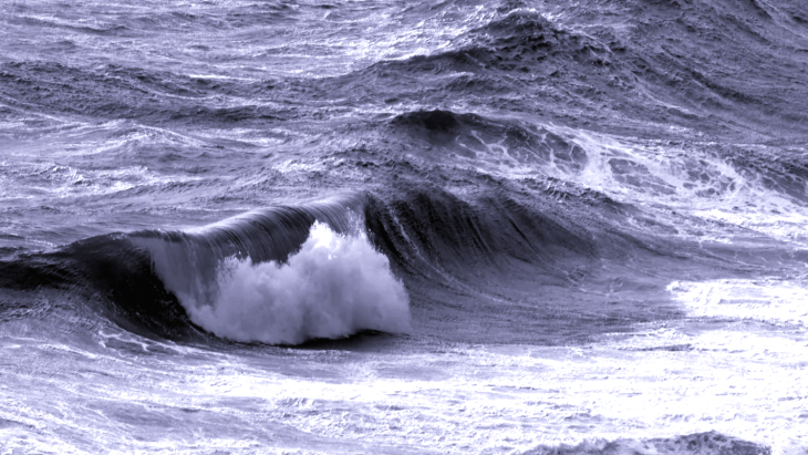 <i>-image: Marc Buckley/Hereon, Michael Stresser/Hereon-</i> image: Marc Buckley/Hereon