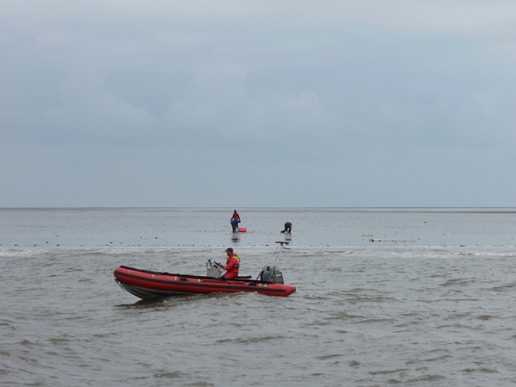 Sedimentprobennahme im Rückseitenwatt bei Langeneß (Probe 3) am 18.06.14, zu erreichen am besten per Schlauchboot (Foto: Ulrike Kleeberg) Dscn5913 K
