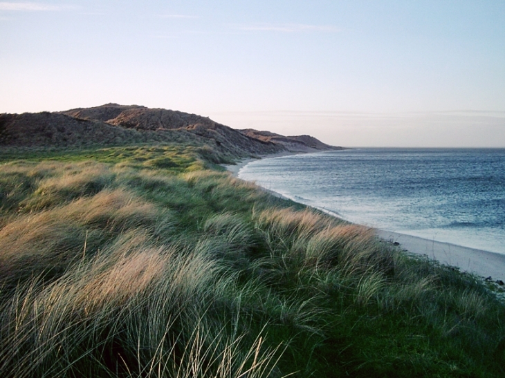 Dünenlandschaft auf Sylt (Foto: Dirk Hellriegel) Dünenlandschaft auf Sylt