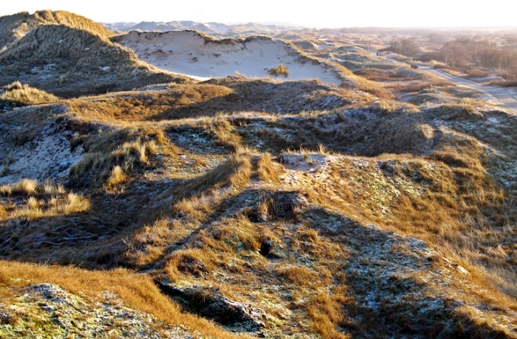 Wie verändert sich die Dünenlandschaft? (Foto: Ina Frings) Dünenlandschaft