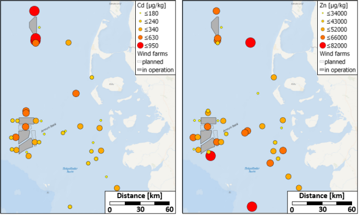 Initial results of mapping heavy metal sediment concentrations in the vicinity of wind farms and background reference areas in the German Bight. (Graphic: Ulrike Kleeberg, Daniel Pröfrock / Hereon) Image Chemical Pollution.png