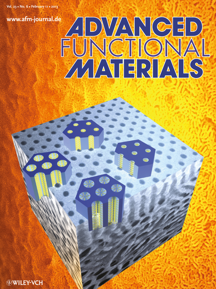Cover Page ADFM 2013 Jule Clodt