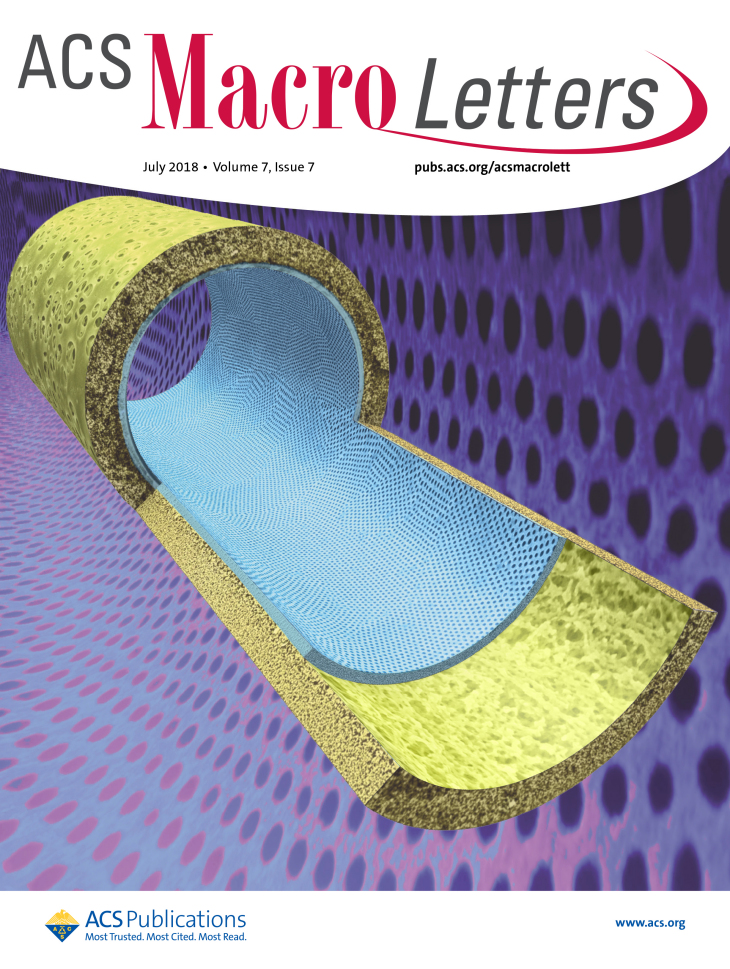 Cover Page ACS Macro Letters Juli 2018 Kirti Sankhala 