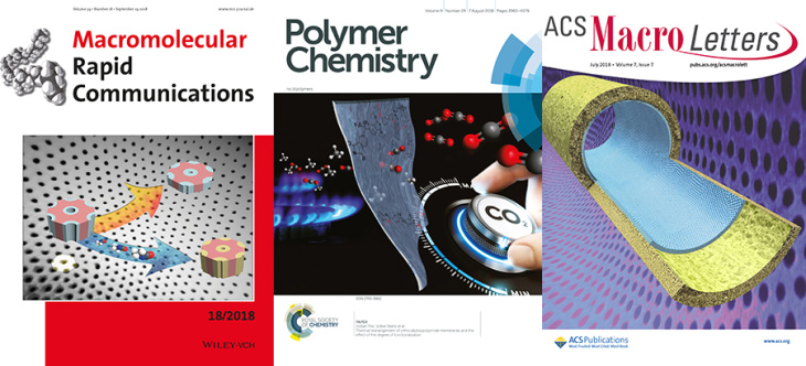 P ges. Okt 2018 MRC_ Pol Chem_ACSMacroLett