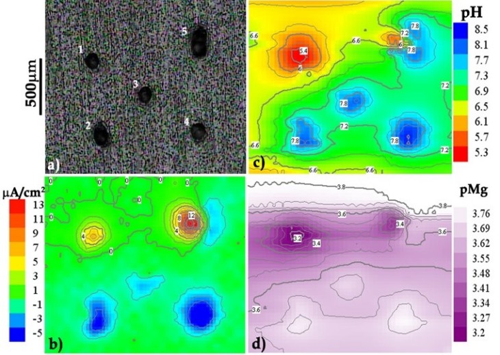 Local current density measured with SVET, distribution of pH and concentration of Mg2+ mapped with micro-potentiometry (SIET)