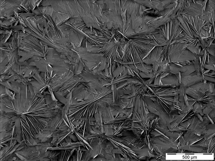 Calcium phosphate coating on magnesium alloy. Photo: HZG Calcium phosphate coating on magnesium alloy.