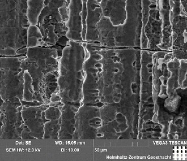 Surface damage evolution in the magnesium alloy.
