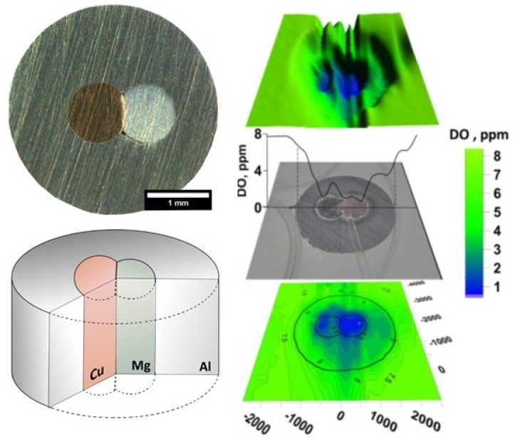 O2 local in-situ measurements over the S-phase model cell of aluminium alloy measured by micro-optode fibre optic sensor. Photo: HZG O2 local in-situ measurements over the S-phase model cell of aluminium alloy measured by micro-optode fibre optic sensor.