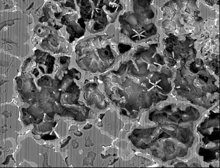 Magnesium surface attacked by corrosion. Photo: HZG Magnesium surface attacked by corrosion.