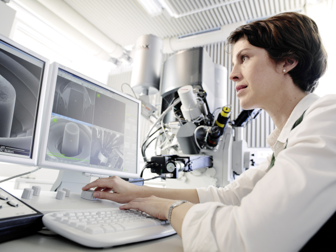 Scientist checks structural images on the computer