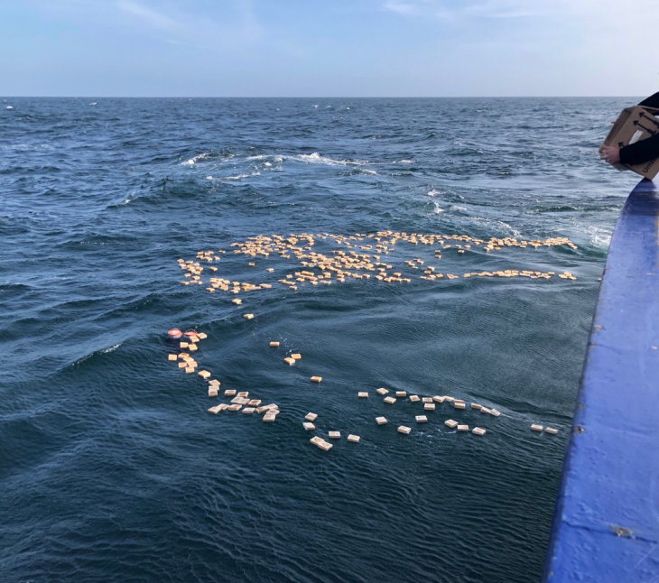 Im Frühjahr 2018 trieben die Holztäfelchen an die britische Ostküste bis nach Schottland. Foto: Thomas Badewien/Universität Oldenburg 096 Cb Paper Westwarddrift Badewien