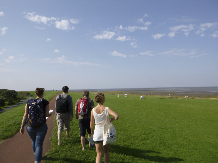 Wandern auf dem Deich. Foto: HZG/Dennis Bunke Vier Personen wandern auf dem grünen Deich