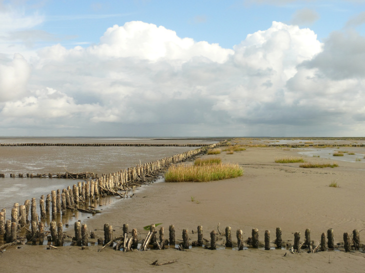 Das Wattenmeer der Nordsee. Foto: Fotolia/matthias_creydt Hölzerne Pfähle im Schlick während der Ebbe im Watt